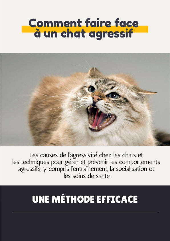 EBOOK - COMMENT FAIRE FASSE A UN CHAT AGRESSIF