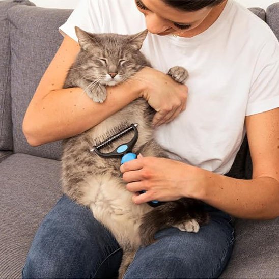 brosse pour chat acier inoxydable bleu maitresse canape