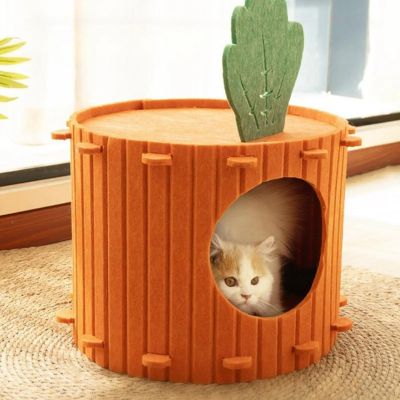 cabane chat design carotte chat salon