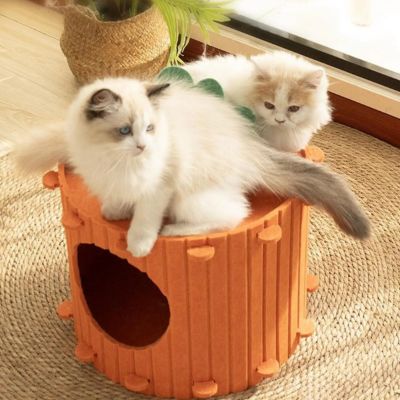 cabane chat design carotte chats dessus