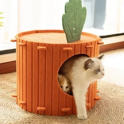 cabane chat design carotte chats salon