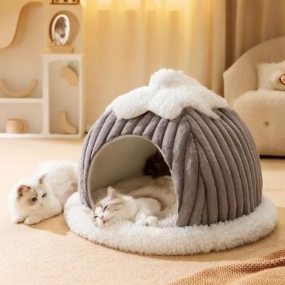 cabane chat design citrouille chats