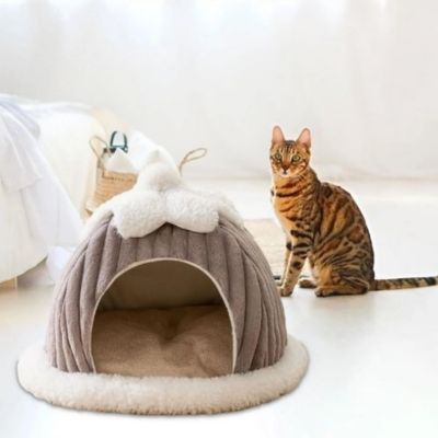 cabane chat design citrouille gris chat