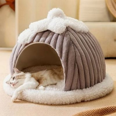 cabane chat design citrouille gris