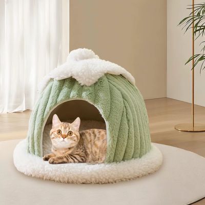 cabane chat design citrouille vert chat
