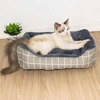 chat allonge dans panier chat avec motif carreaux