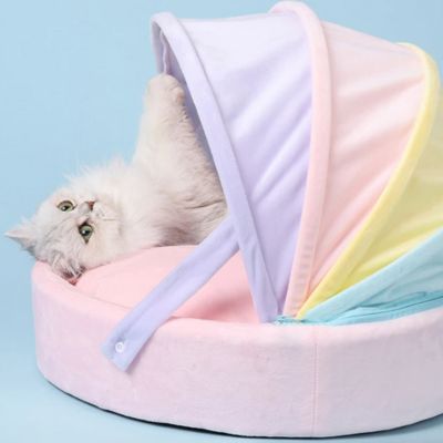chat confortable dans panier chatons multicolore