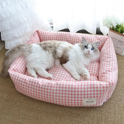 chat dans chat panier 4 saisons rose