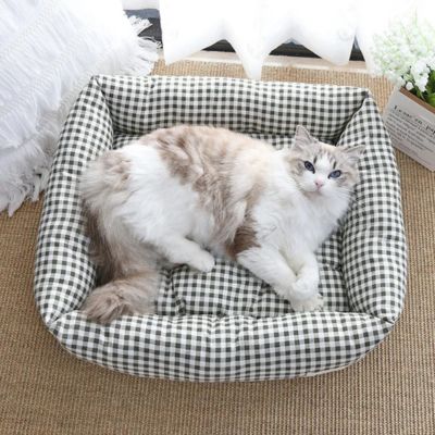 chat dans chat panier 4 saisons vert fonce