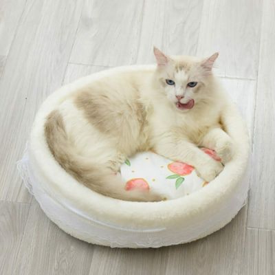 chat dans chat panier motif orange