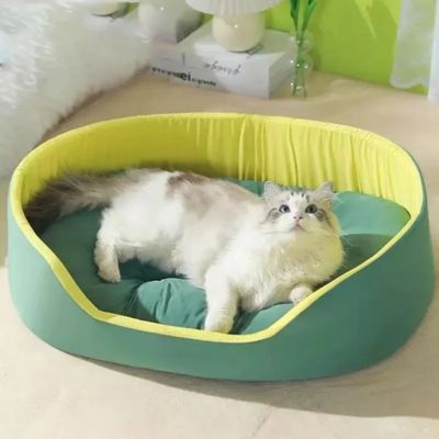 chat dans panier chat impermeable vert