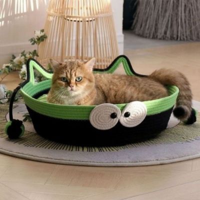 chat dans panier chat tisse main