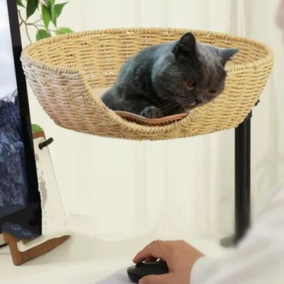 chat dans panier en osier pour chat suspendu