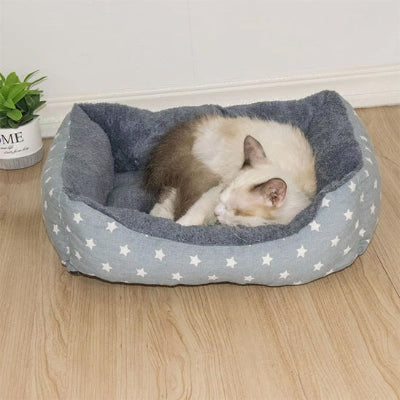 chat endormi dans panier chat motif etoile