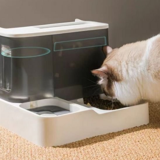 chat mangeant dans distributeur de croquettes pour chat design epure