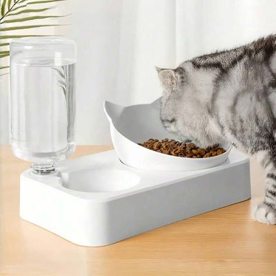chat mangeant dans gamelle chat double compartiment couleur blanc