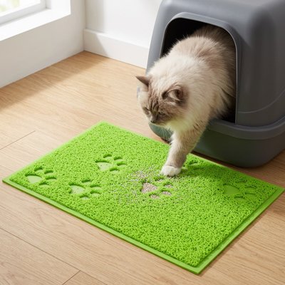 chat marchant tapis litière chat vert dans salon