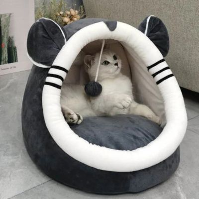 chat niche modĂšle ours chat