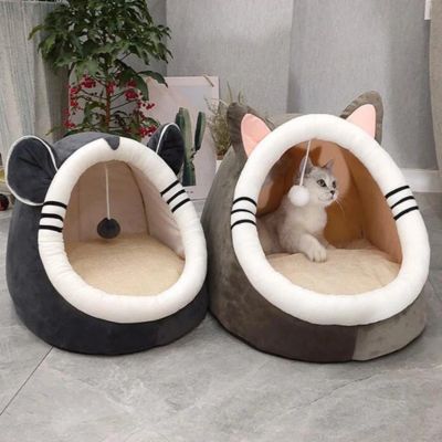chat niche modĂšle ours modĂšle chat
