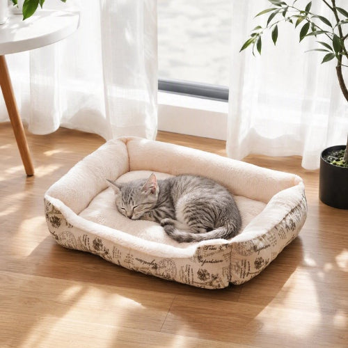chat panier blanc chat dormant
