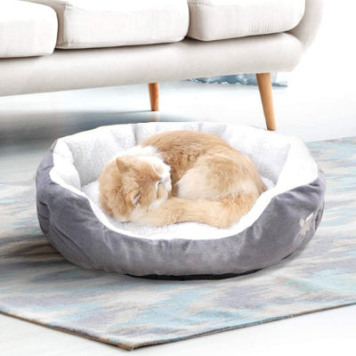 chat qui dort paisiblement dans panier chatons gris