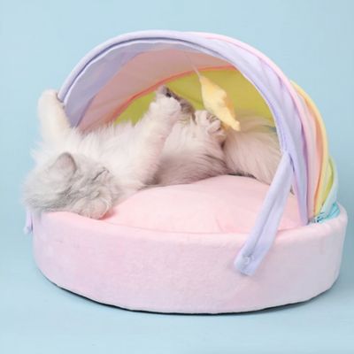 chat qui joue dans panier chatons multicolore
