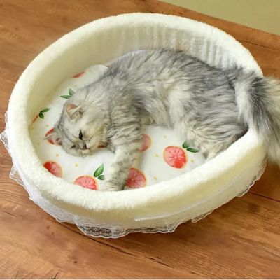 chat qui se prelasse dans chat panier motif orange
