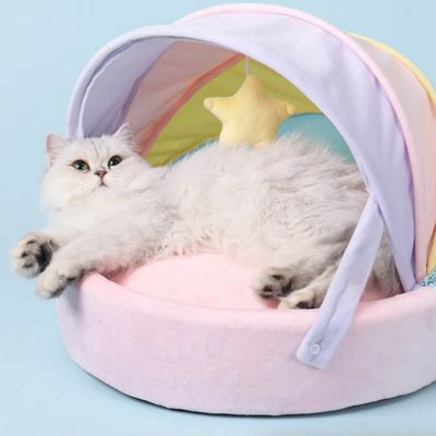chat qui se prelasse dans panier chatons multicolore