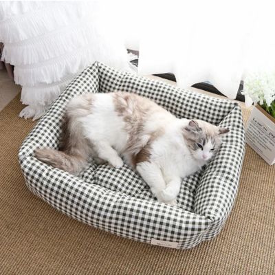 chat qui se repose dans chat panier 4 saisons vert fonce