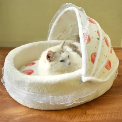 chat se repose dans chat panier motif orange