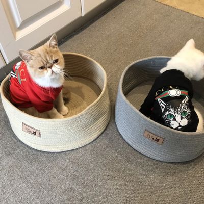 chaton panier grattoir corde coton beige et gris avec chats