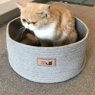 chaton panier grattoir corde coton gris clair