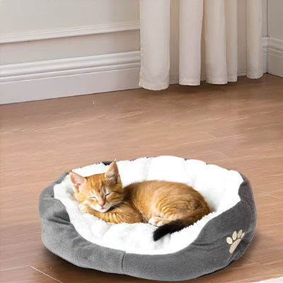 chaton qui dort dans panier chatons dans le salon