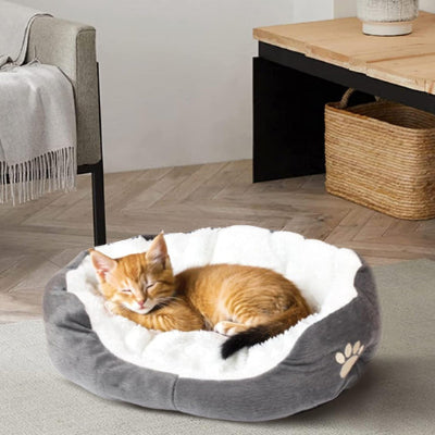 chaton qui dort paisiblement dans son panier chatons gris