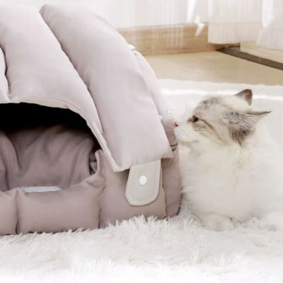 coussin-chat-double-position-moelleux