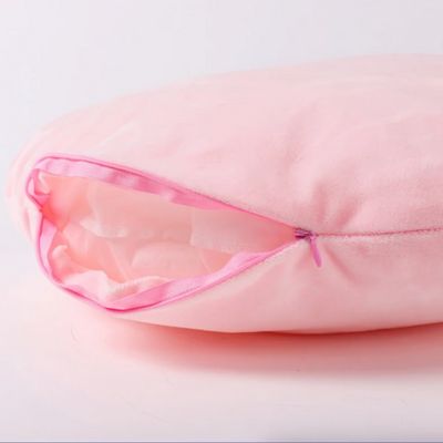 coussin du panier chatons multicolore