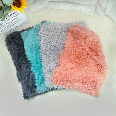 coussin-pour-chat-couverture-elegante-couleurs
