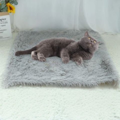 coussin-pour-chat-couverture-elegante-gris-clair