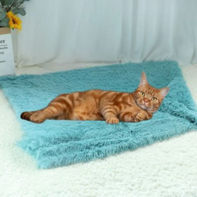coussin-pour-chat-couverture-elegante-vert