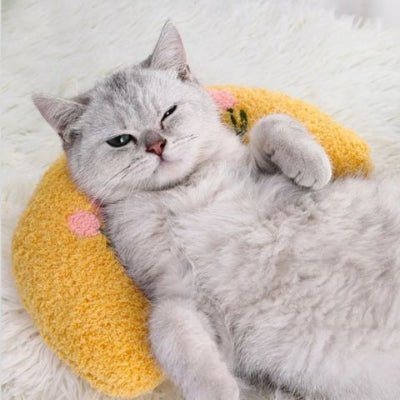 Coussin pour chat | Oreiller - Mon Adorable Félin