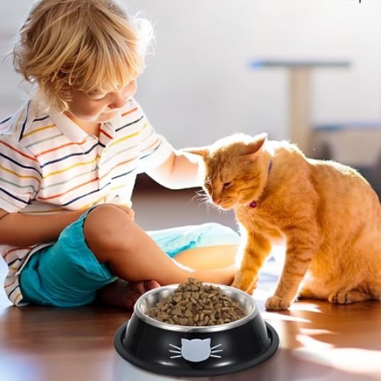 enfant et chat avec gamelle chat decoration chat couleur noir