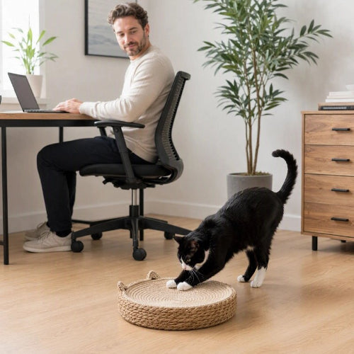 griffoir à chat corde tressee maitre chat griffant bureau