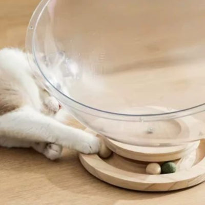 hamac-à-chat-capsule-spatiale-amusant