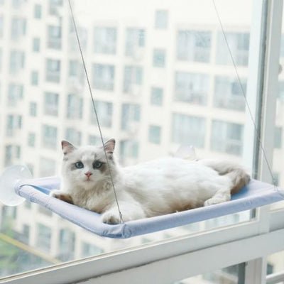 Hamac chat fenetre | Cosy - Mon Adorable Félin
