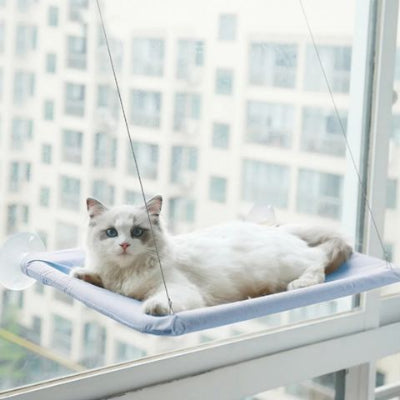 hamac-chat-fenetre-cosy-bleu