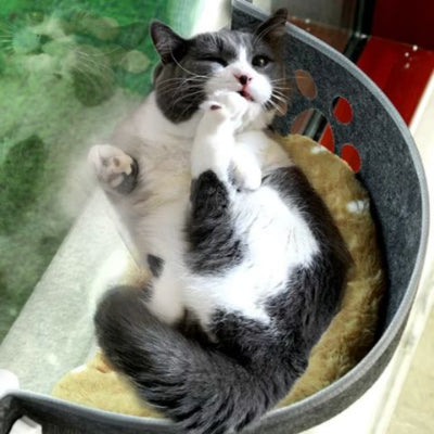 hamac-chat-fenetre-en-feutre-confortable