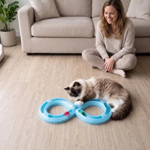 jeux pour chat circuit maitresse chat allonge salon