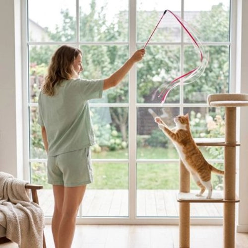 jouet chat baguette a ruban rouge maitresse chat jouant