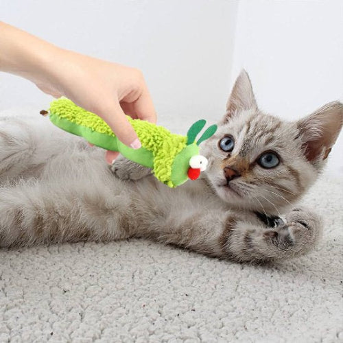 jouet chat chenille chat apaise