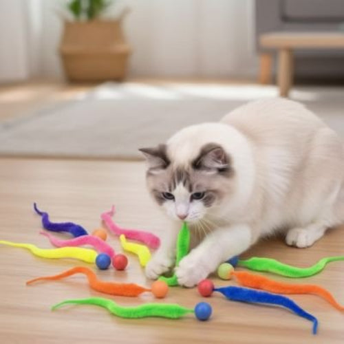 jouet pour chat balle rebondissante colore chat mordant
